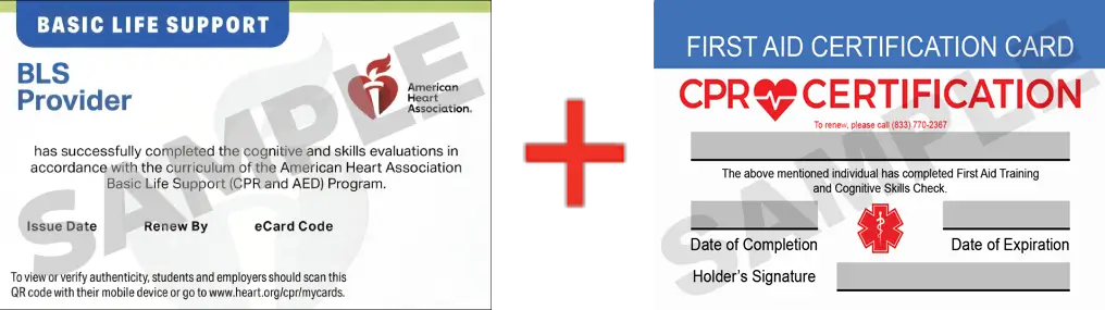 Sample American Heart Association AHA BLS CPR Card Certification and First Aid Certification Card from CPR Certification Jacksonville