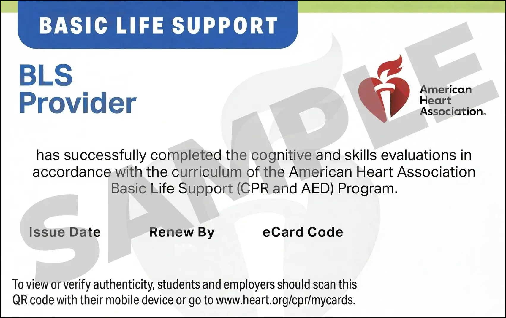Sample American Heart Association AHA BLS CPR Card Certification from CPR Certification Jacksonville